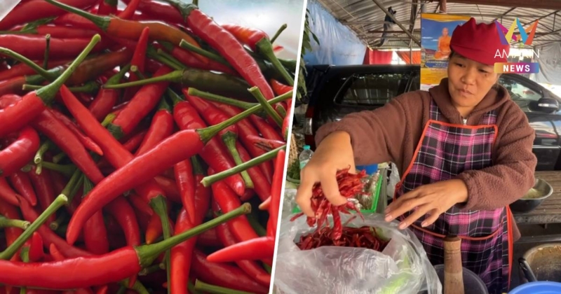 พริกขี้หนูสดราคาพุ่ง กก.ละ 200 บาท ร้านส้มตำเปลี่ยนมาใช้พริกแห้งแทน