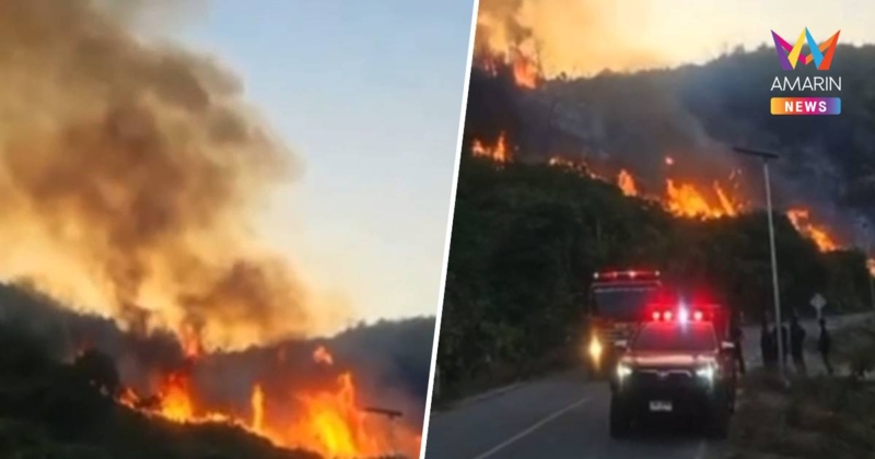 ไฟไหม้ป่าลุกลามขึ้นเขาแสมสาร ระดมรถดับเพลิงกว่า10คันเร่งคุมสถานการณ์