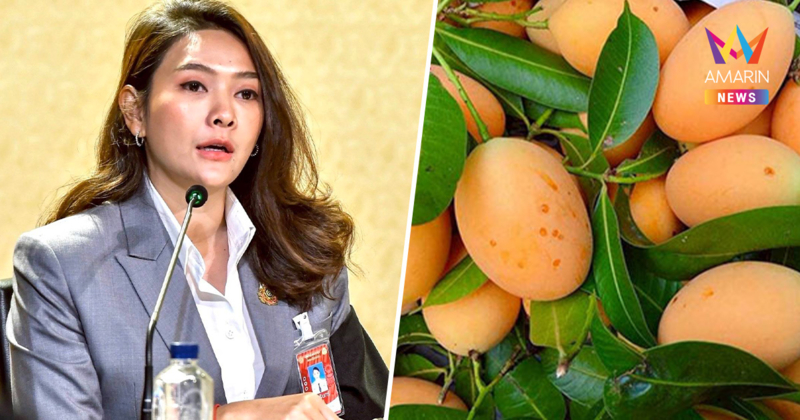 สุโขทัยเฮ! "มะยงชิดแม่ย่า" ขึ้นทะเบียนสินค้า GI สร้างมูลค่า 1,916 ล้าน