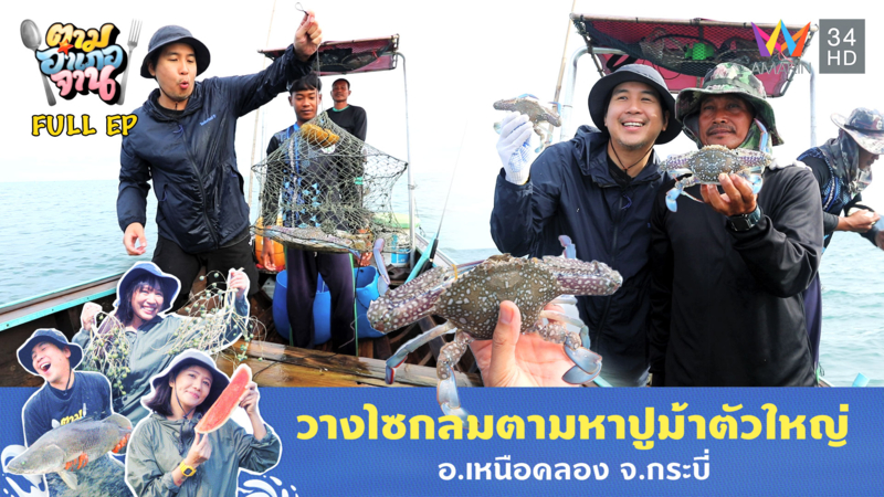 วางไซกลมตามหาปูม้าตัวใหญ่ อ.เหนือคลอง จ.กระบี่