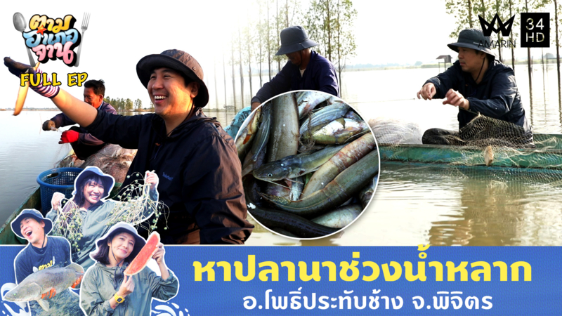 หาปลานาช่วงน้ำหลาก อ.โพธิ์ประทับช้าง จ.พิจิตร