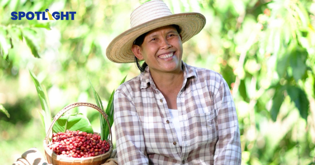 เบื้องหลัง แก้ว ‘เนสกาแฟ’ จากสวนกาแฟไทย...สู่แก้วของคุณ