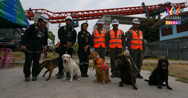 สุนัขทรงเลี้ยง K9 คุณ MI6 ร่วมภารกิจค้นหาผู้ประสบภัย เครนถล่มทับรถไฟ