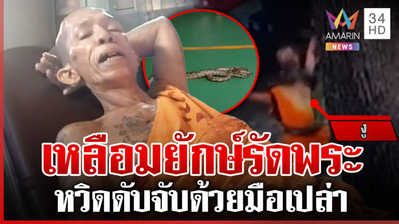 หลวงพ่อหวิดดับ จับงูเหลือมด้วยมือเปล่า