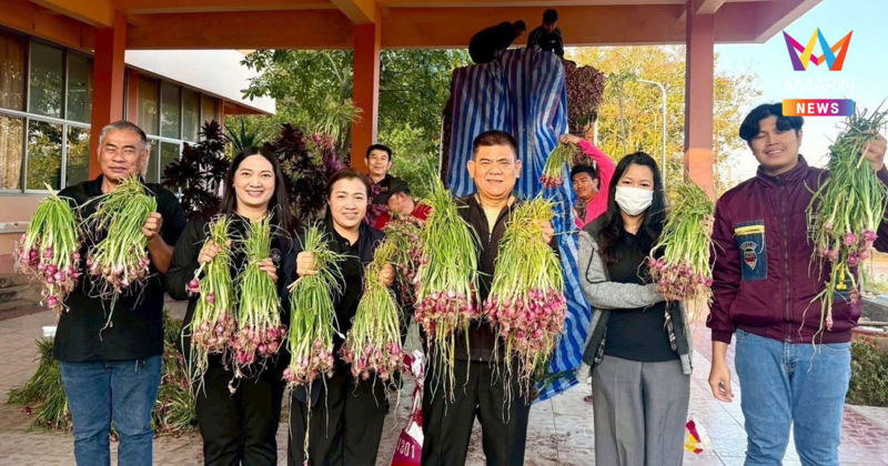 สหกรณ์ศรีสะเกษเร่งกระจาย "หอมแดง" ออกสู่ตลาด ตั้งเป้ารอบแรก 40 ตัน