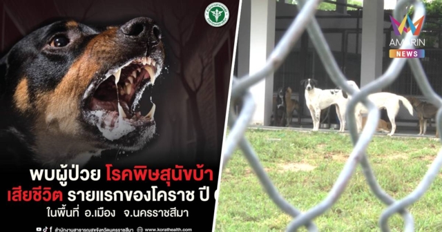 ผวา! โคราชพบผู้ป่วยติดเชื้อโรคพิษสุนัขบ้า เสียชีวิตแล้ว 1 ราย
