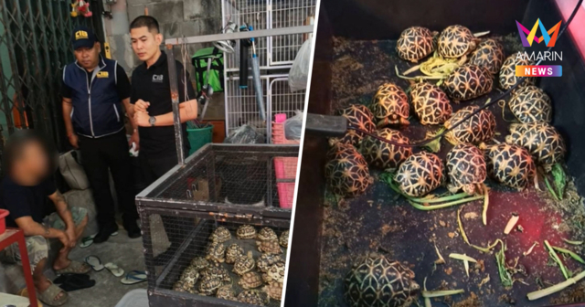 บุกค้นบ้านย่านประชาอุทิศ ยึดสัตว์ป่าไซเตสกว่า 70 ตัว