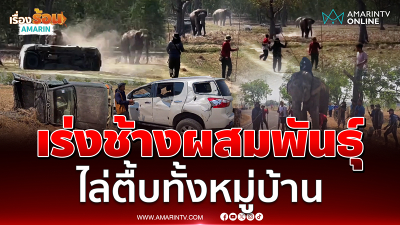 ว่อนเน็ต คลิป “ครูไพบูลย์” ซ้อมแฟนปากแตก-ตาปูด