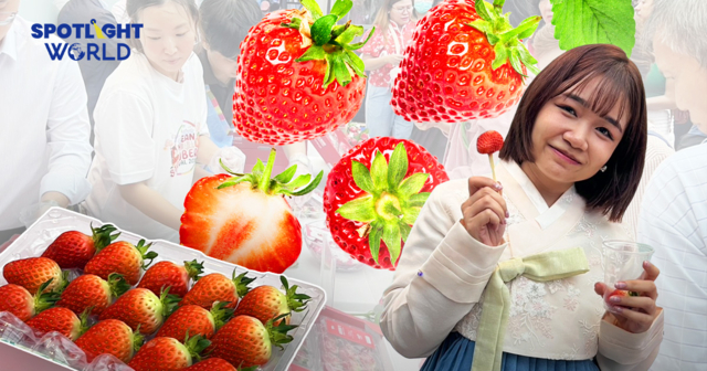 สตรอว์เบอร์รีซอลฮยาง Soft Power ใหม่เกาหลีใต้ สู่ส่งออกเบอร์หนึ่งไทย