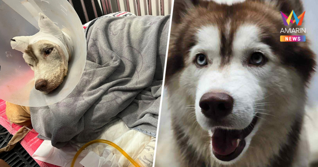 สุดยื้อ! 