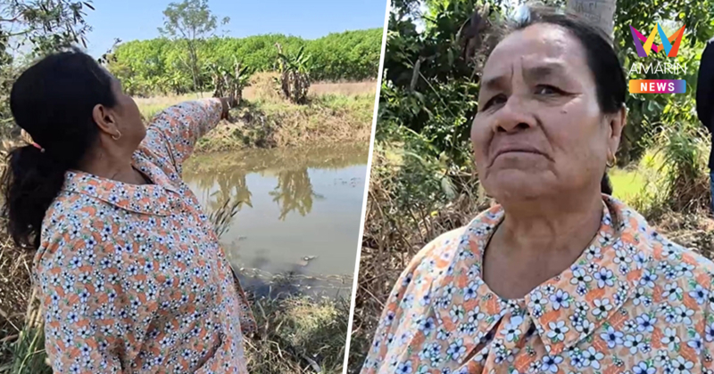 น้ำตาท่วมทุ่ง! โจรใจบาปฉกแม่ควายท้องแก่-ลูกน้อย มรดกชิ้นสุดท้ายจากสามี