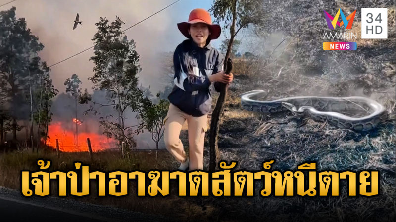 เขมรบาปหนักเผาแผ่นดินตัวเอง สัตว์ป่าหนีตายโกลาหล