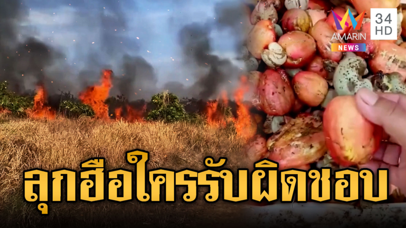 ฮุนเซนสะดุ้ง ไฟไหม้วอดสวนมะม่วงหิมพานต์ ใครรับผิดชอบ