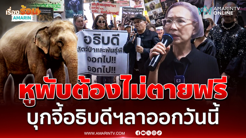 ตุ๊ก เดือนเต็ม บุกกรมอุทยานฯจี้อธิบดีฯลาออก ปมสีดอหูพับดับ 