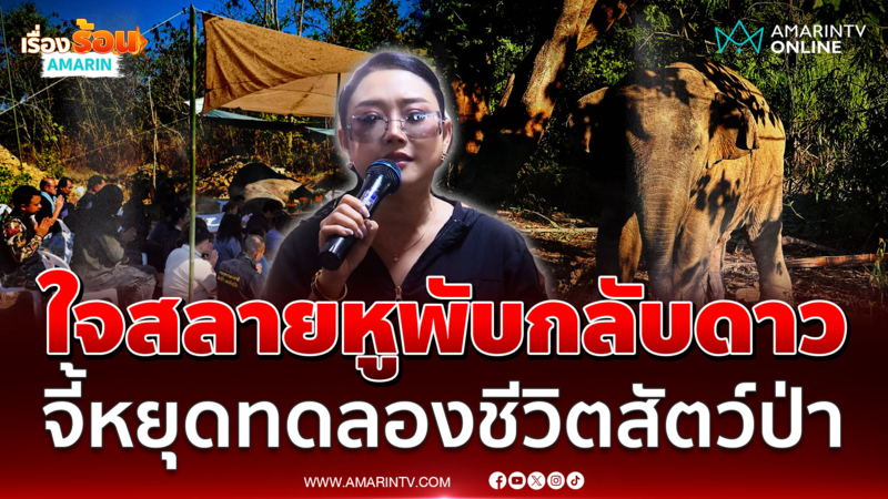 หญิง ธิติกานต์ ใจสลายรู้ข่าว สีดอหูพับ จี้อธิบดีกรมอุทยานฯลาออก 