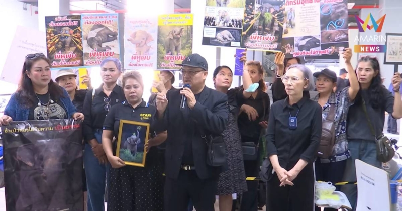 กลุ่มคนรักช้างบุก กรมอุทยานฯ จี้ อธิบดีลาออก รับผิดชอบปม "สีดอหูพับ"