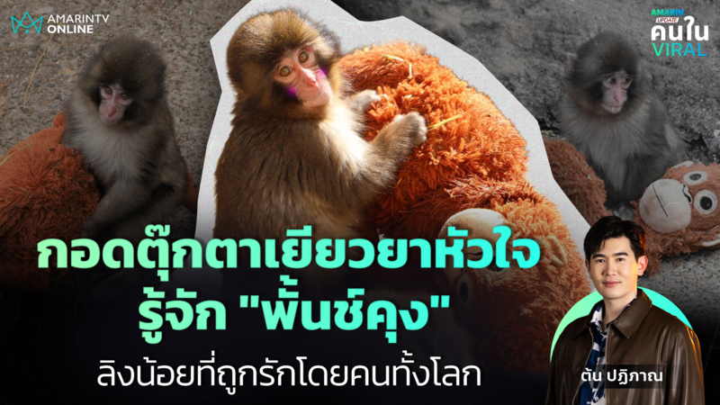 กอดตุ๊กตาเยียวยาหัวใจ รู้จัก "พั้นช์คุง" ลิงน้อยที่ถูกรักโดยคนทั้งโลก