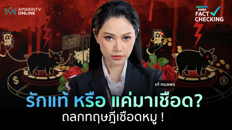 วิธีแยก เนื้อคู่ VS มิจฉาชีพ ถลกทฤษฎีเชือดหมู Pig Butchering 