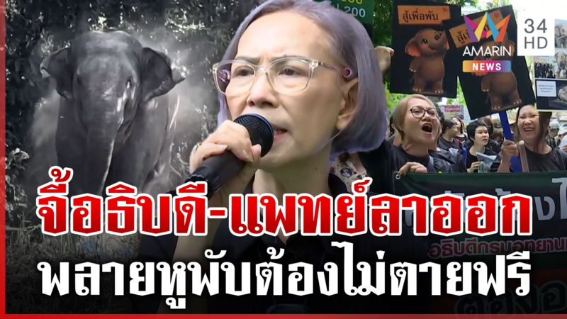 เดือด! คนรักช้างฮือประท้วง เซ่นพลายสีดอหูพับล้ม