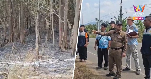 ตร.เร่งสางปม ปริศนาไฟเผาสวนทุเรียนเมืองจันท์วอด 87 ไร่ เสียหายยับ