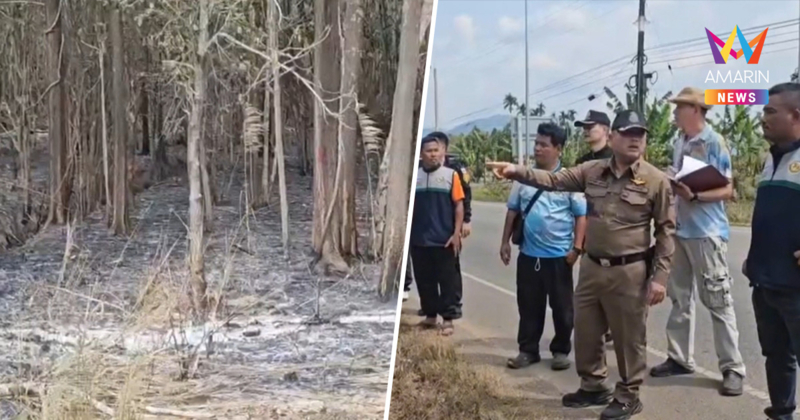 ตร.เร่งสางปม ปริศนาไฟเผาสวนทุเรียนเมืองจันท์วอด 87 ไร่ เสียหายยับ