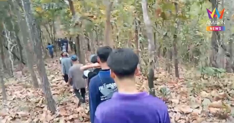 ด่วน! คอนเฟิร์ม  "เสือโคร่ง" โผล่ดอยอินทนนท์ ขย้ำวัวชาวบ้านตายเรียบ