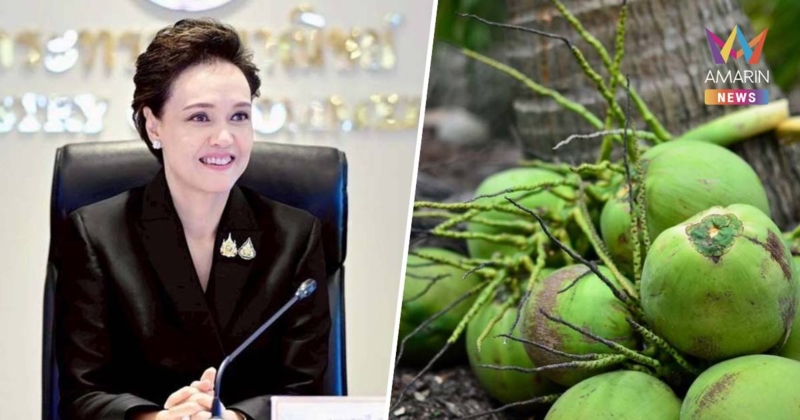 ศุภจี ลุยแก้ปัญหามะพร้าวน้ำหอม ครบวงจร หาตลาดรองรับในประเทศ-ต่างประเทศ