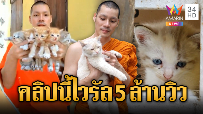 ไวรัล 5ล้าน! หลวงพี่บาริสต้าโพสต์หาบ้านให้แมว