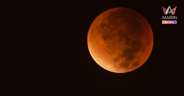 39 เท่านั้น! ชวนชม 