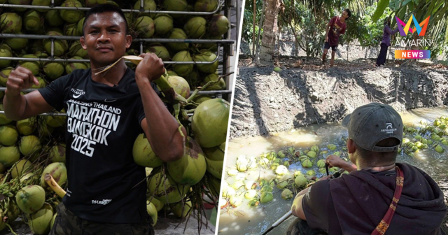 บัวขาว บัญชาเมฆ ประกาศเหมาสวนมะพร้าวน้ำหอม  ผุดโปรเจกต์กระสอบกู้ชาติ