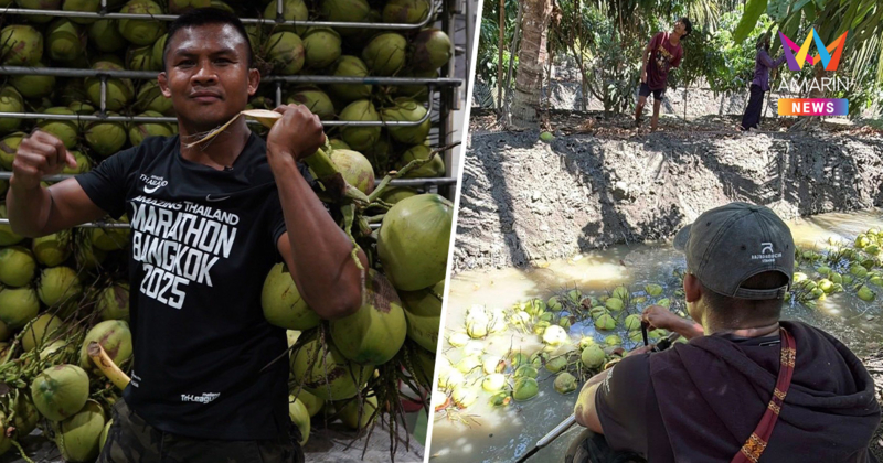 บัวขาว บัญชาเมฆ ประกาศเหมาสวนมะพร้าวน้ำหอม  ผุดโปรเจกต์กระสอบกู้ชาติ