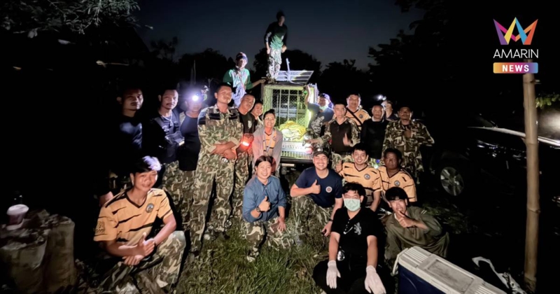สำเร็จ! ภารกิจพา "แม่ปิ่น" เสือโคร่งเพศเมีย กลับสู่ป่าห้วยขาแข้ง