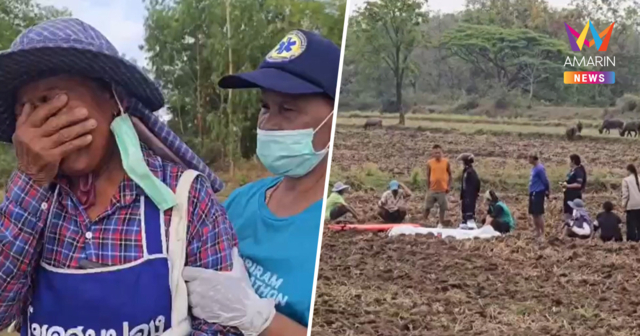 แดดเมืองไทยทำพิษ! ชายบุรีรัมย์วัย 48 ช็อกอากาศร้อนดับคาทุ่งนา