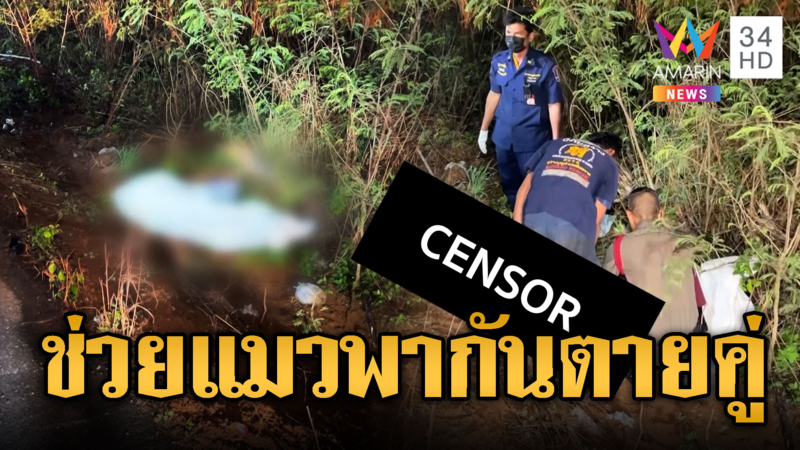 สลดป้าช่วยแมวถูกรถทับ เจอรถเสยตายทั้งคู่