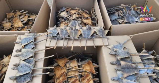 ทลายโกดังลับ! ยึดซากตุ๊กแกกว่า 1.2 แสนตัว เตรียมส่งออกจีน