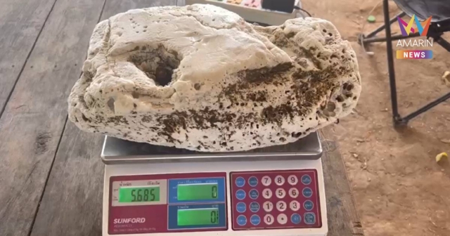 พร้อมขาย! หนุ่มระยองดวงดี พบ 