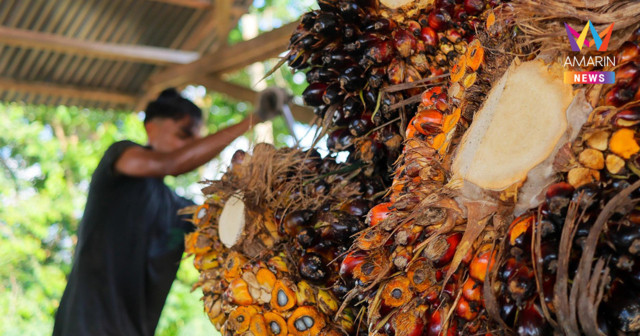 อินโดฯ เร่งมาตรการผสม ไบโอเอธานอล รับมือราคาน้ำมันโลกพุ่ง