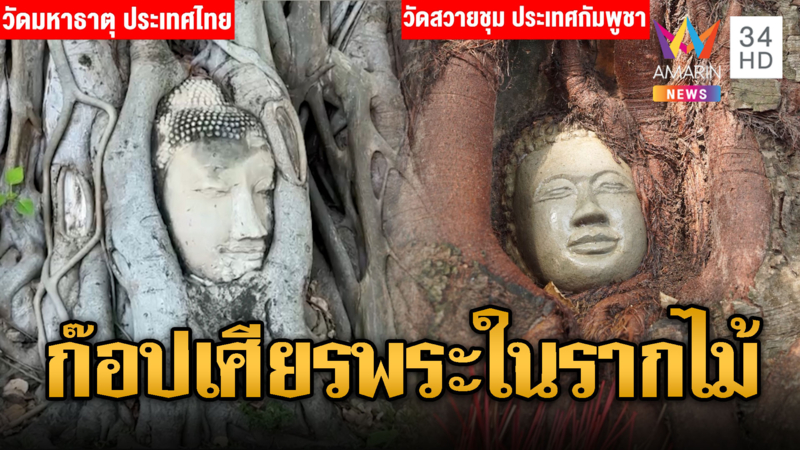 อันซีนขแมร์ไม่แคร์ไทย สร้างเศียรพระในรากไม้ใหม่เอี่ยม