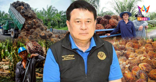 สหกรณ์ชาวสวนปาล์มกระบี่ พลิกฟื้นกลับทำกำไร 104.5 ล้าน หลังขาดทุนมานาน