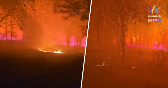 ทะเลเพลิง! ไฟไหม้ป่าใกล้ ท่าอากาศยานนครราชสีมา ปะทุขึ้นอีกรอบ