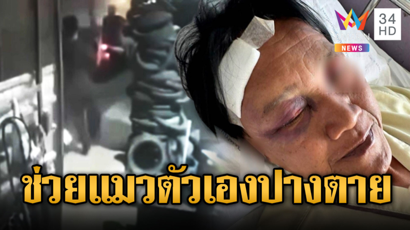 ลุงพลเมืองดีอุ้มช่วยแมวกลัวถูกรถชน แต่โดนเจ้าของตื้บเจ็บ