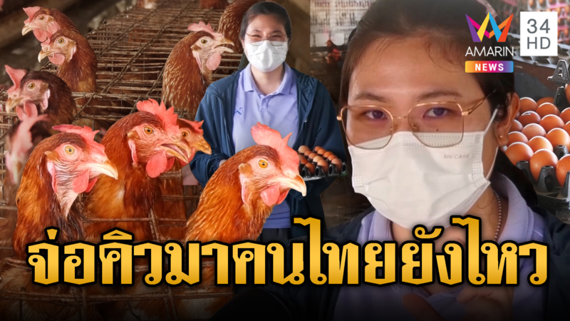 วิกฤตน้ำมันพ่นพิษ อั้นไม่อยู่ไข่ไก่ราคาพุ่ง สินค้าอื่นส่อขึ้นด้วย