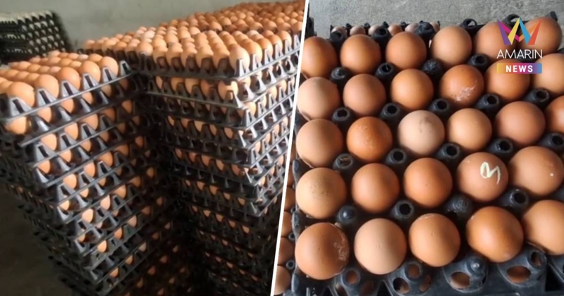 เริ่มขยับแล้ว! ไข่ไก่โคราช ปรับราคาแผงละ 5 บาท