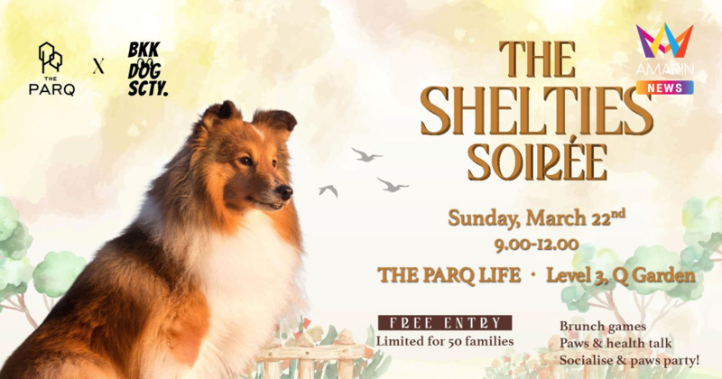 ชวนเหล่าครอบครัวเชลตี้ขนฟู บุกเดอะ ปาร์ค พร้อมปล่อยจอยในงาน The Shelties Soirée