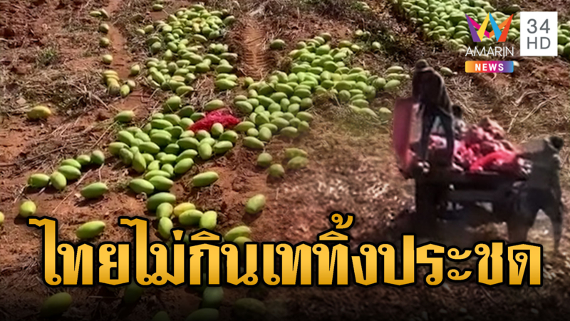 รายงานเขมรมะม่วงราคาตก ขายไทยไม่ได้ เททิ้งเกลื่อน