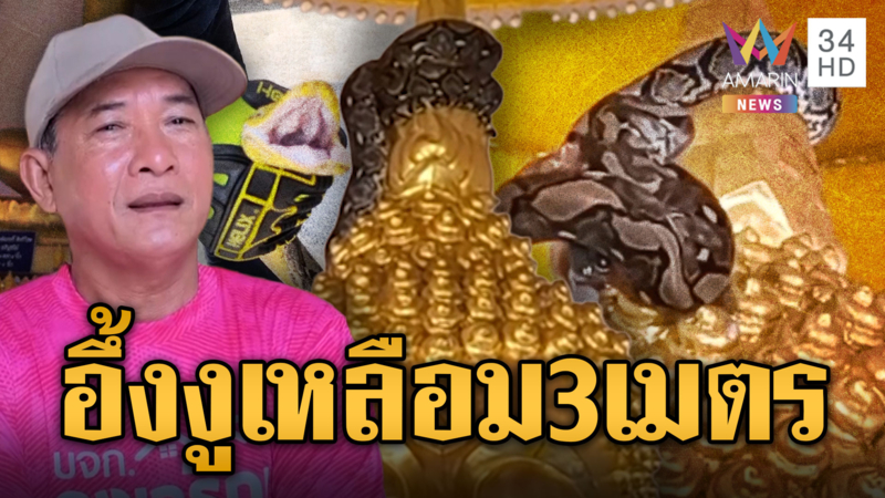 กู้ภัยจับวุ่น งูเหลือมเลื้อยเศียรพระพุทธรูป