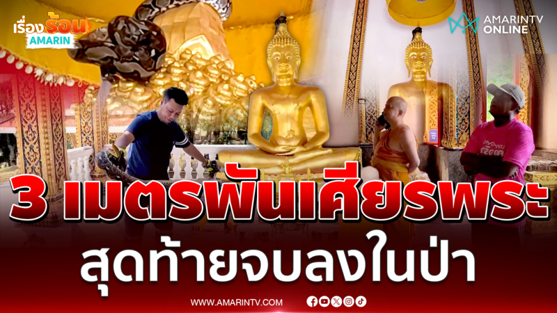 งูเหลือม 3 เมตรพันเศียรพระ งานนี้ร้อนถึงกู้ภัย
