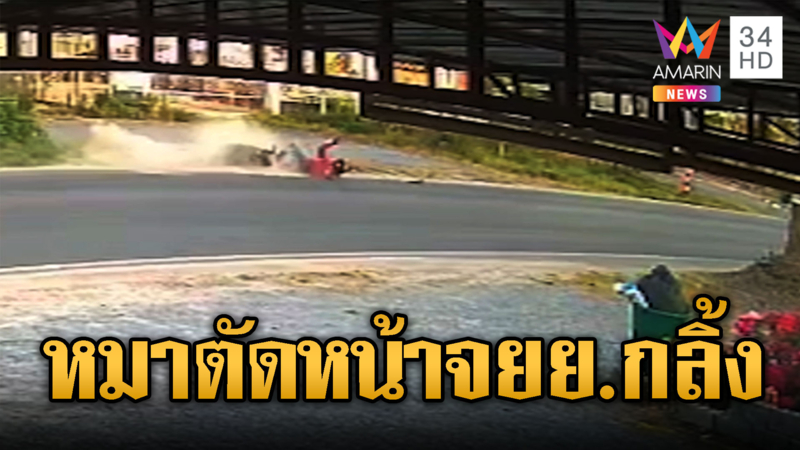 สุนัขวิ่งตัดหน้า จยย.ชนเสียหลักล้มกลิ้ง