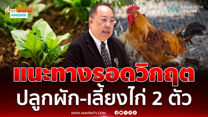 สว.ปฏิมา แนะทางรอดประชาชนต้องปลูกผัก-เลี้ยงไก่ 