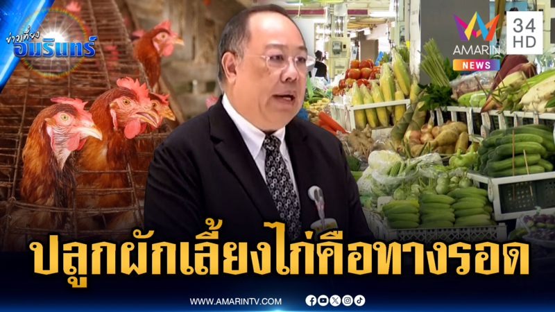 สว.แนะทางรอดช่วงวิกฤต ปลูกผัก-เลี้ยงไก่ 2 ตัวต่อครัวเรือน
